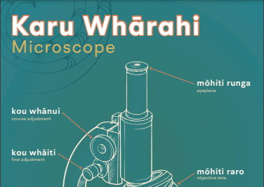 Karu Whārahi Microscope - Diagram