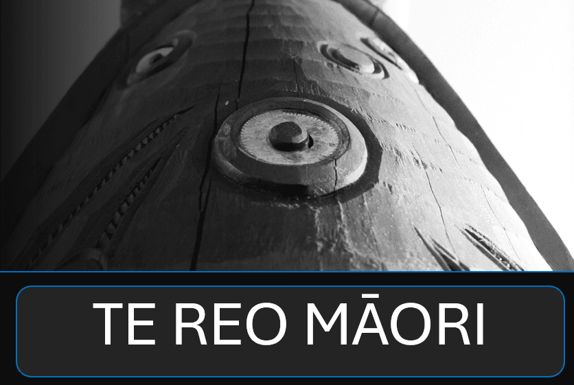 Te Reo Māori - curriculum basics