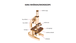 Karu Whārahi Microscope - Diagram