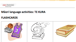 Te Kura - activities