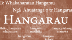 Wall banner: Hangarau | Technology