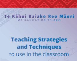 Teaching Strategies Fan - New Additions