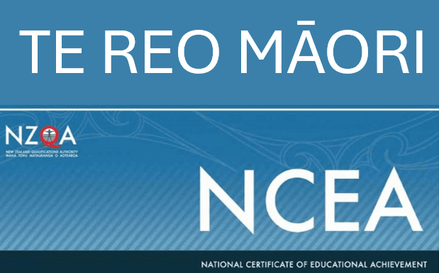 AS91284 - Te Reo Māori NCEA Level 2 Practice Assessment Activity (Version 1)