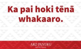 Loopy Cards - Māori phrases for primary level