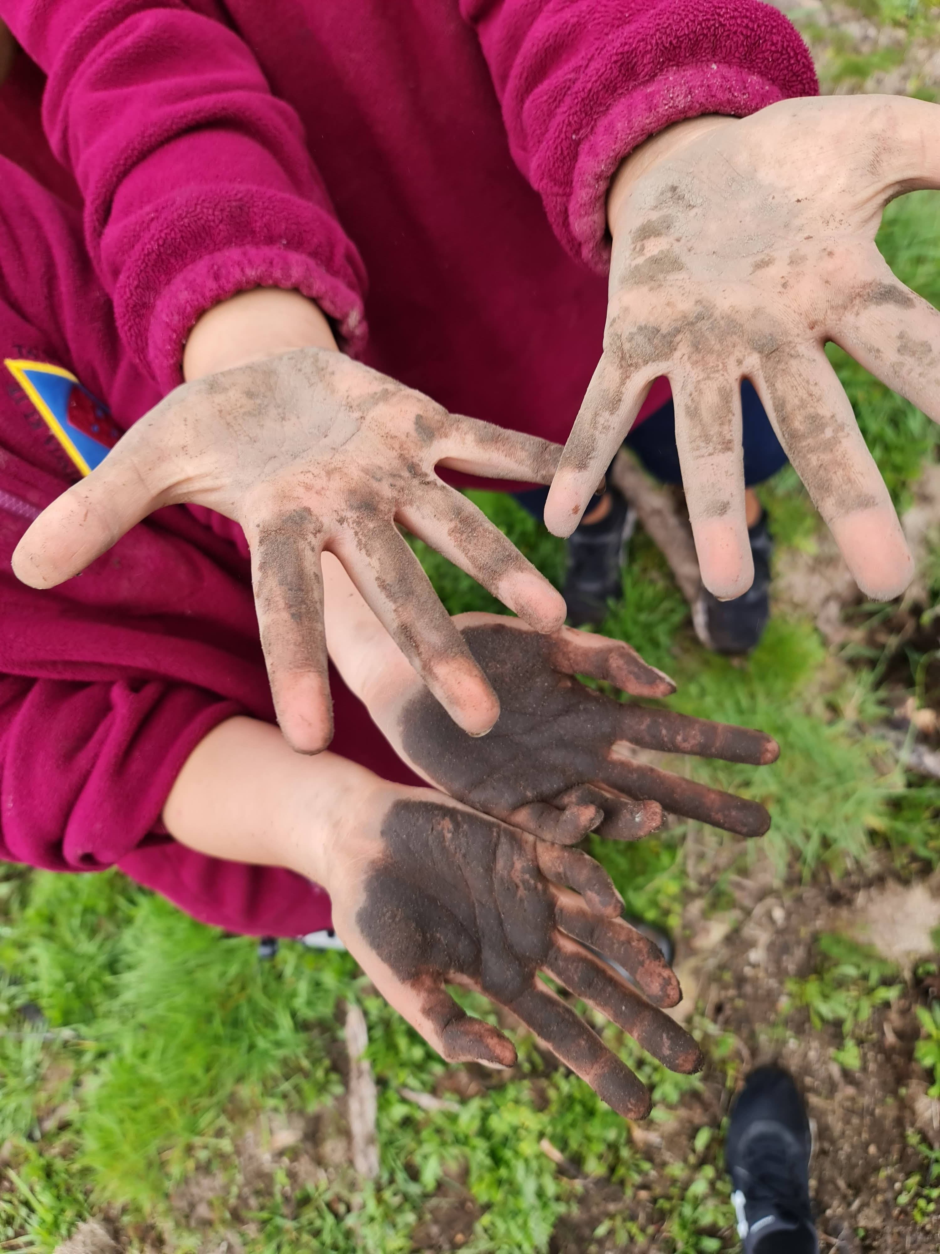 Tākarokaro Kōhau Rau - The Alchemy of Play