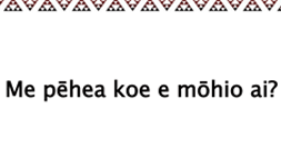 Critical Thinking Questions - set 1