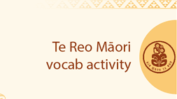 Te Reo Māori - vocab activity