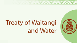 Treaty of Waitangi and Water