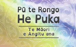 Pū te Rongo | He Puka - Te Māori e Angitu ana
