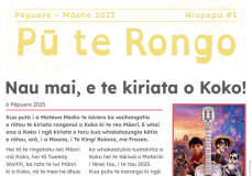 Pū te Rongo | Niupepa - Term 1