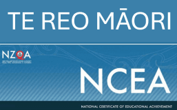 AS91650 - Te Reo Māori NCEA Level 3 Practice Assessment Activity