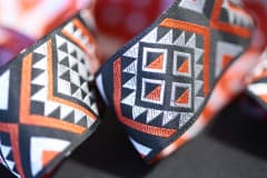 Past Wānanga Reo Activities | Te Kohinga Tuatahi